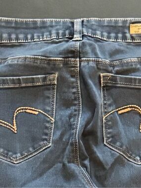 Poured in Blue Skinny Jeans